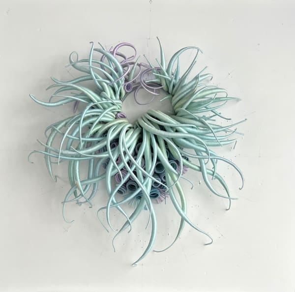 Catherine Latson, Specimen 42, 2025