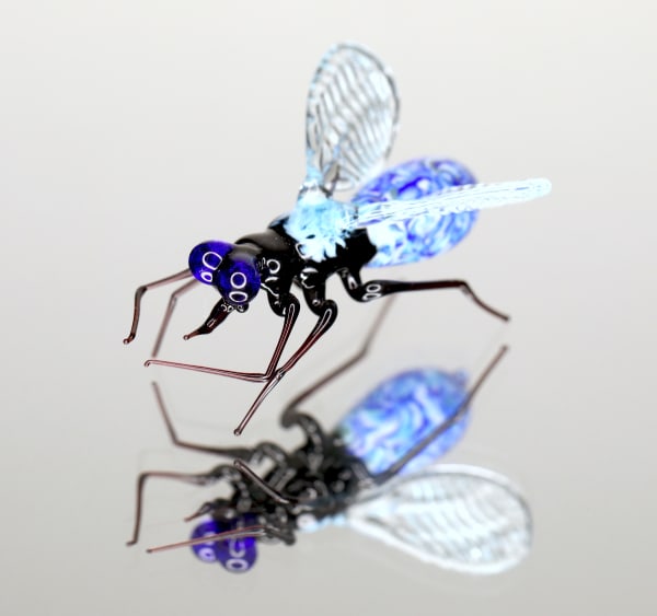 Elijah Schwartz Black Blue Stip Fly, 2020 1 x 2 x 2 inches