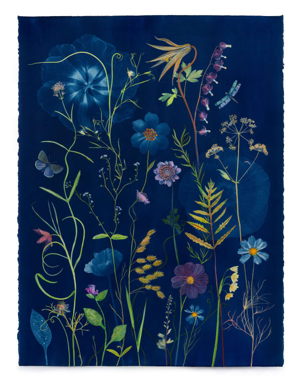 Julia Whitney Barnes Picturesque Botany (Lily, Bleeding Hearts, Cosmos, Forget-me-not, Pollinators, etc.), 2024 30 x 23 inches (unframed), 34 x 27 inches (framed)
