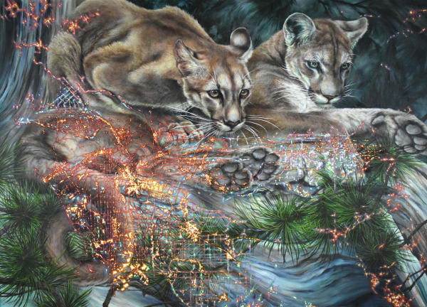 Francine Fox, Mountain Lions of LA, 2023