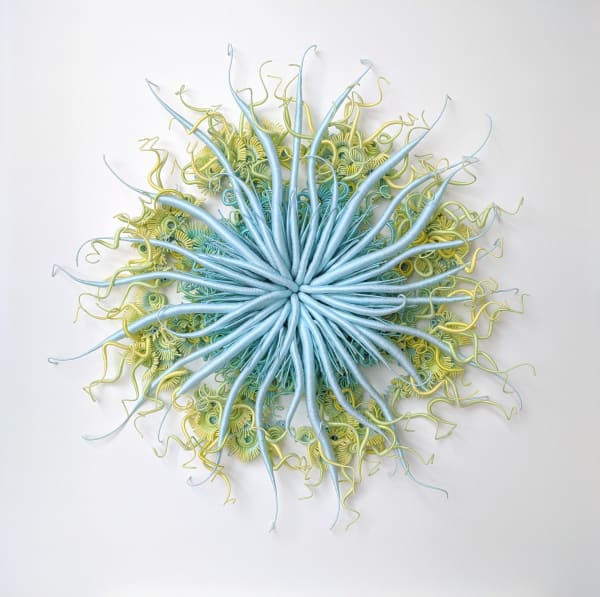 Catherine Latson Specimen #18, 2020 26 inches (diameter), 5 inches deep (unframed), 32 x 32 x 6 inches (framed in acrylic shadowbox)