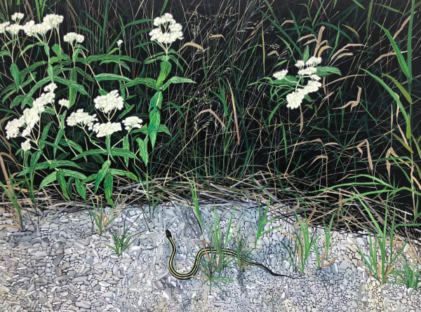 Amanda Acker Slithering In, 2023 18 x 24 inches