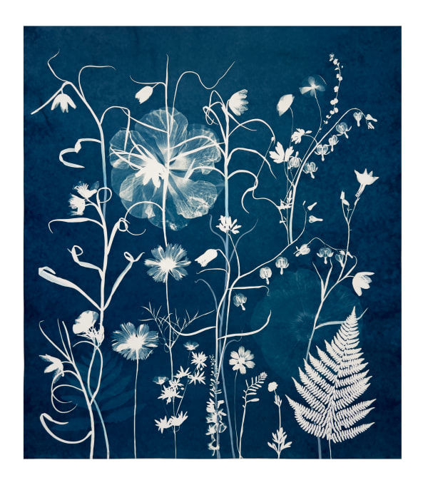 Julia Whitney Barnes Nocturnal Nature (Fritillarias, Bleeding Hearts, Ferns, Hibiscus), 2021-'23 30 x 26 inches (unframed), 33.5 x 29.5 inches (framed)