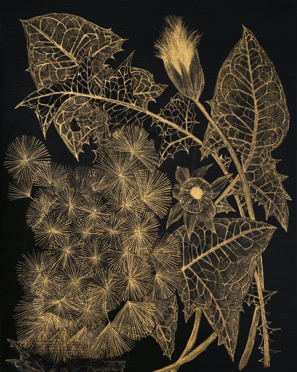 Margot Glass, Dandelion 2, 2021