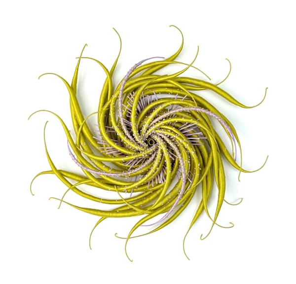 Catherine Latson, Specimen 37, 2023