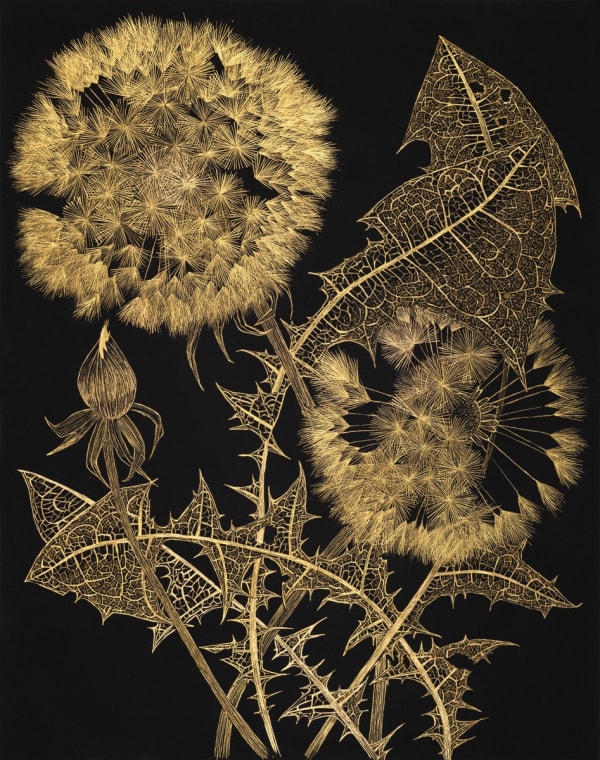 Margot Glass Dandelions with Bud 1, 2024 14 x 11 inches