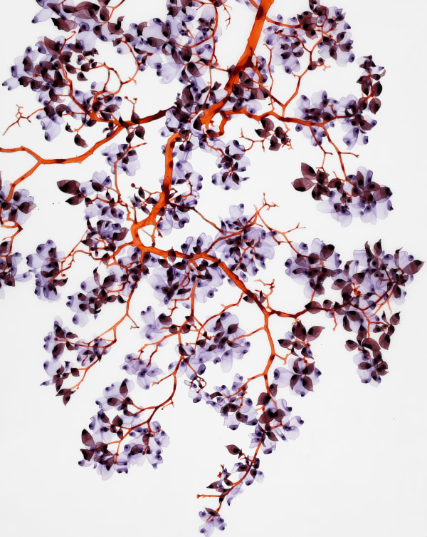 Jackie Battenfield Stormy Bright, 2017 51.25 x 41.25 inches (framed)