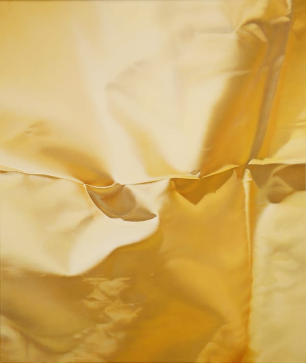 Lalani Nan, Yellow Series No. 2, 2013