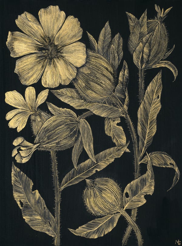 Margot Glass, White Campion, 2021