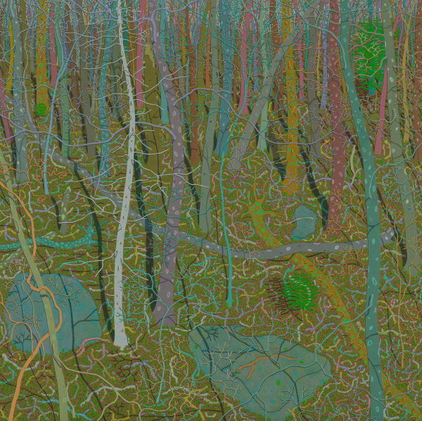 Gregory Hennen, Bleached Cedar March Wyatt Mt, 2022