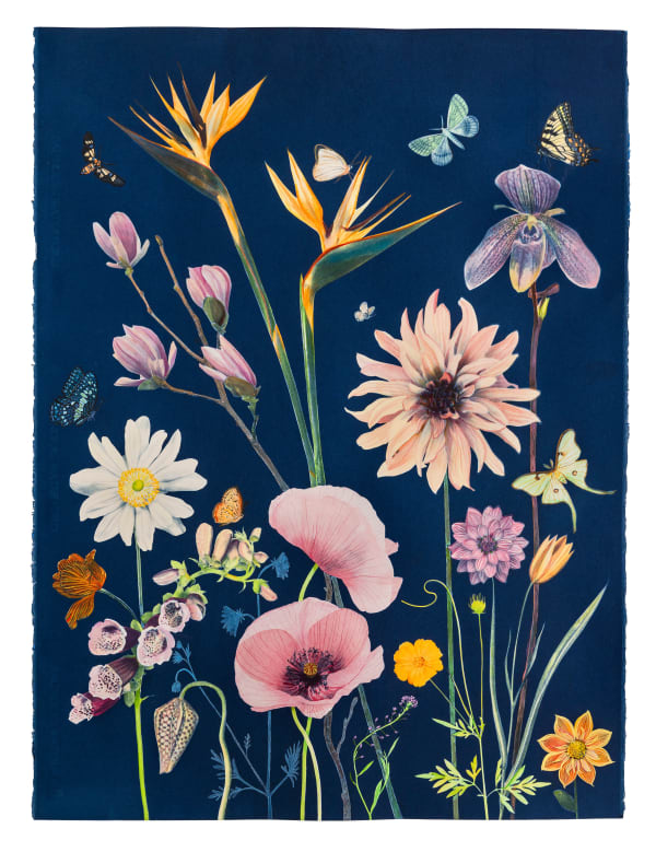 Julia Whitney Barnes Picturesque Botany (Dahlia, Bird of Paradise, Poppies, Foxglove, Pollinators, etc.), 2025 30 x 23 inches (unframed)