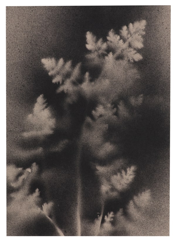 UKRAÏNA 12 Paper 15x21cm