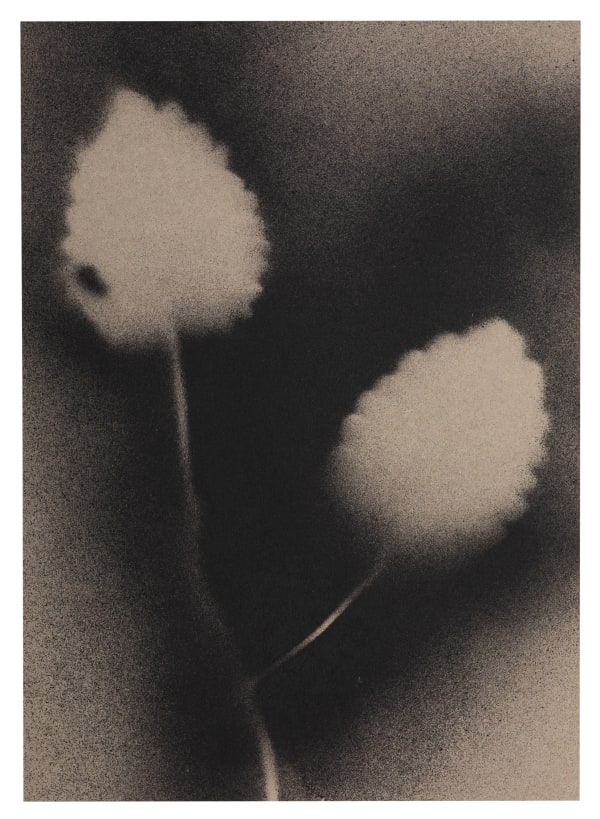 UKRAÏNA 10 Paper 15x21cm