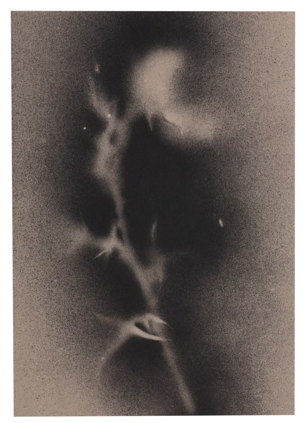 UKRAÏNA 21 Paper 15x21cm