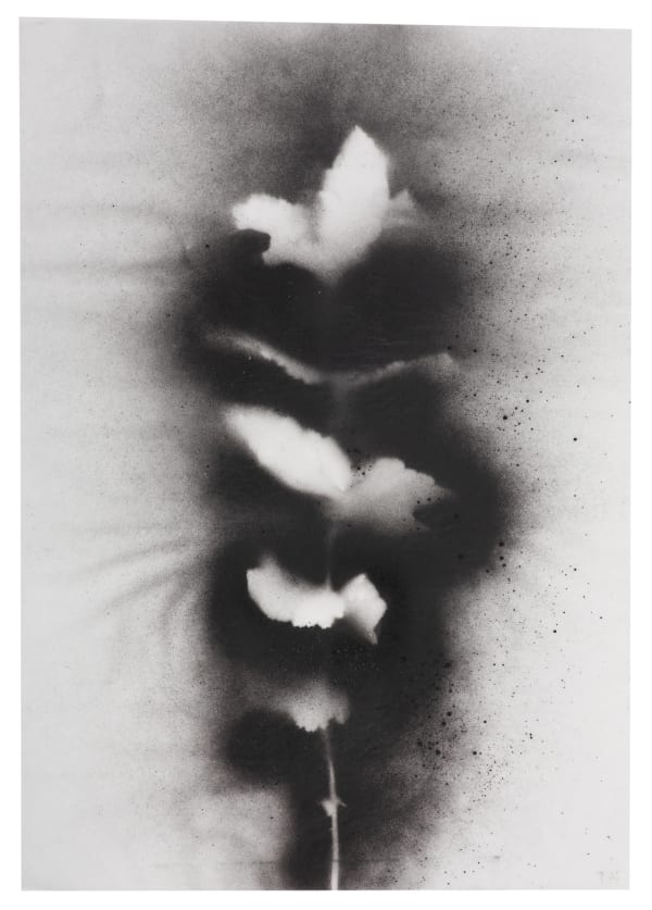 UKRAÏNA 26 Trace 30x42cm