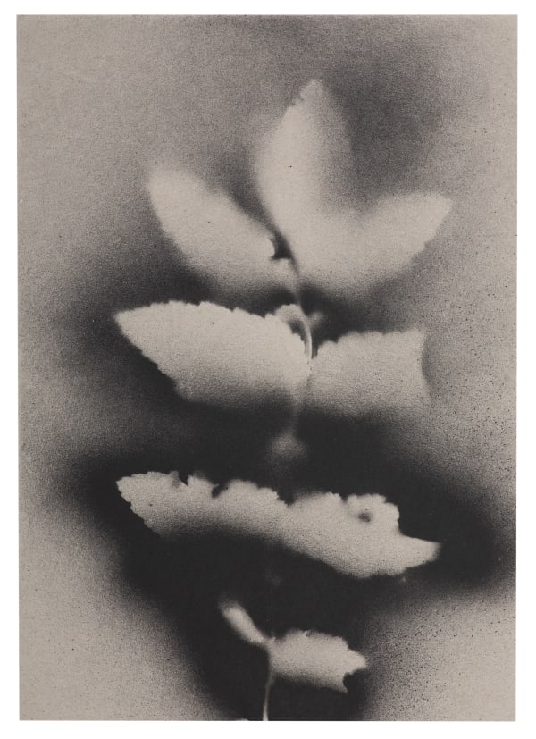 UKRAÏNA 22 Card 21x30cm