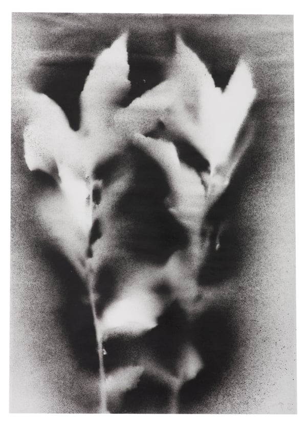 UKRAÏNA 3 Trace 21x30cm