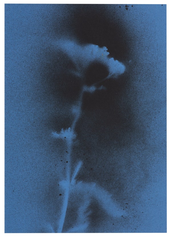 UKRAÏNA 8 Card 15x21cm