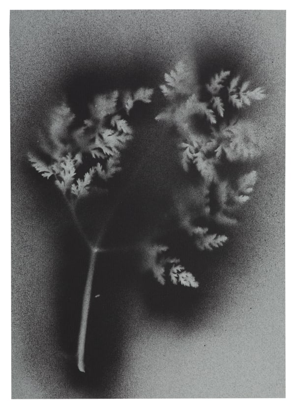 UKRAÏNA 14 Paper 21x30cm