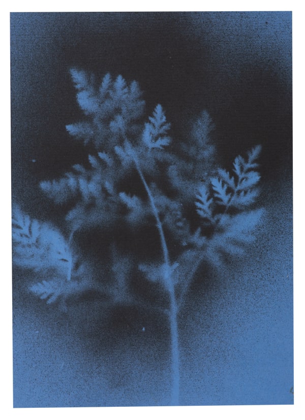 UKRAÏNA 1 Card 15x21cm