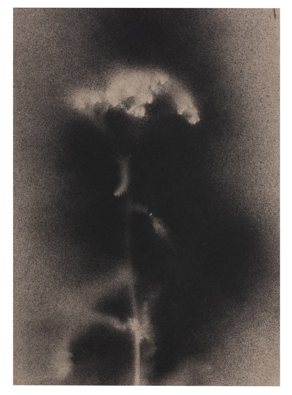 UKRAÏNA 19 Paper 15x21cm