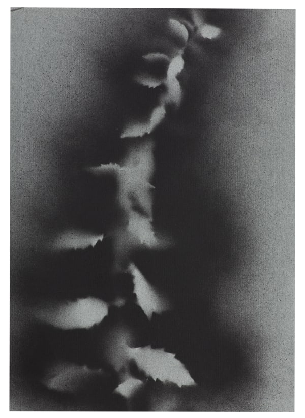 UKRAÏNA 17 Paper 21x30cm