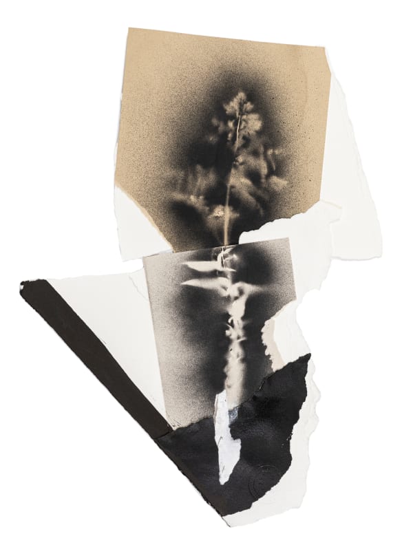 Spike Paper, ink, spray paint, PVA glue 500mm x 380mm Framed dims 625mm x 550mm