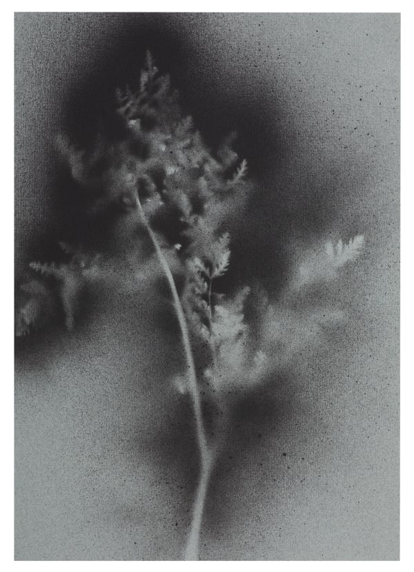 UKRAÏNA 24 Card 21x30cm