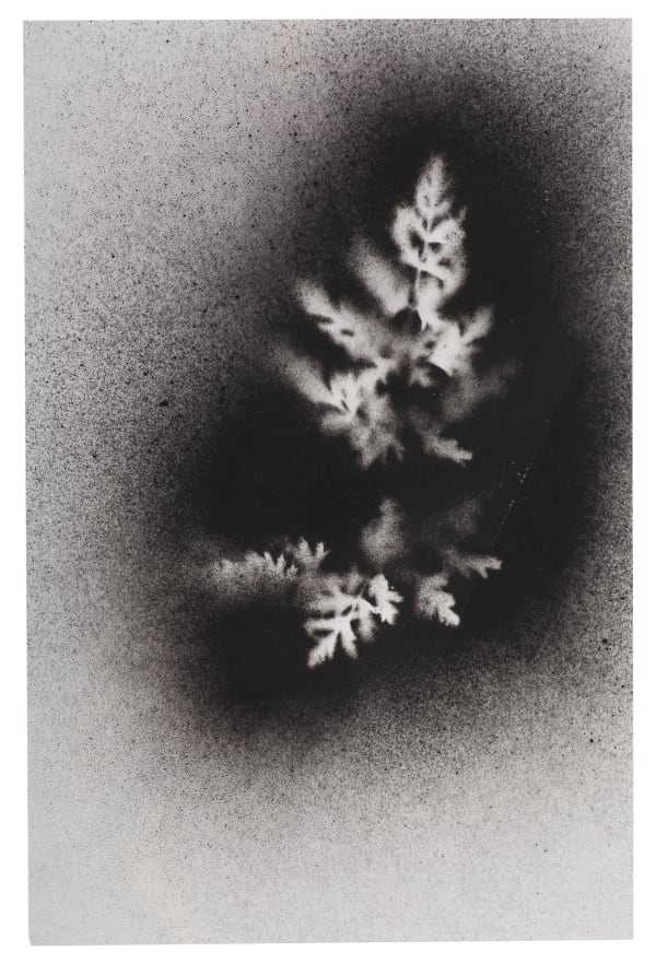 UKRAÏNA 29 Acetate 14x21cm