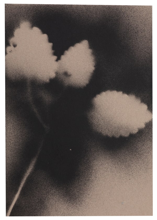 UKRAÏNA 7 Paper 15x21cm