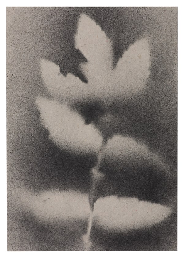 UKRAÏNA 2 Card 15x21cm