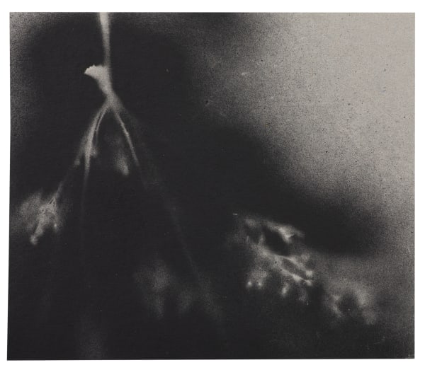 UKRAÏNA 9 Card 20x17cm