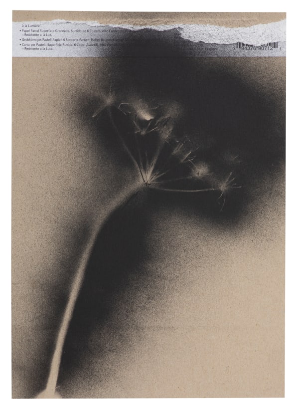 UKRAÏNA 23 Card 21x30cm