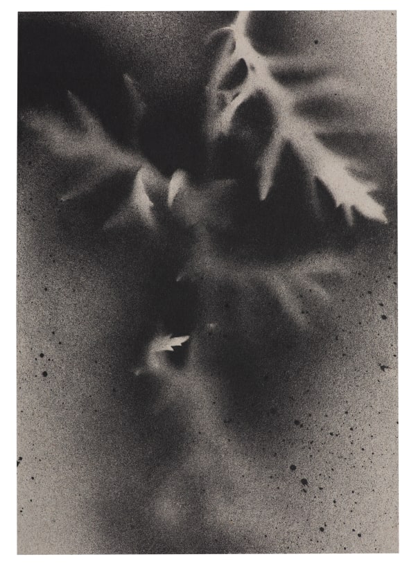 UKRAÏNA 11 Card 15x21cm