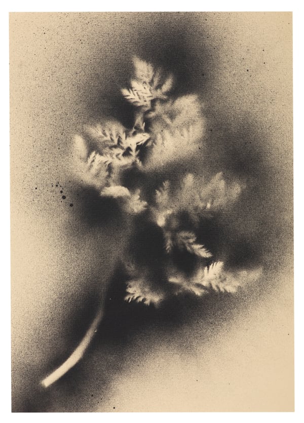 UKRAÏNA 4 Paper 21x30cm