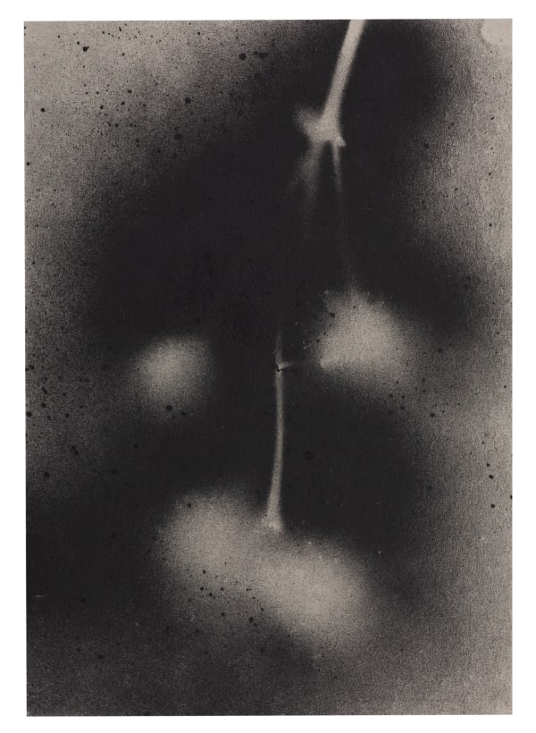 UKRAÏNA 20 Card 15x21cm