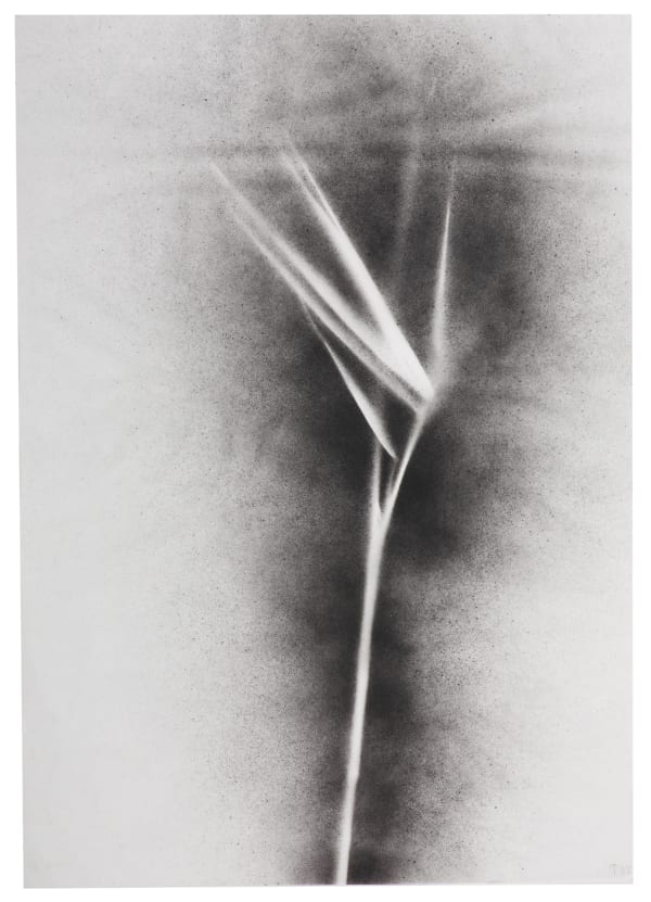 UKRAÏNA 28 Trace 30x42cm