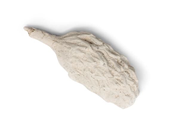 Shell Plaster 140mm x 70mm