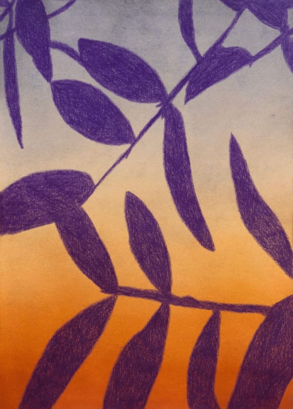 Clément Davout, Crépuscule #30, 2022