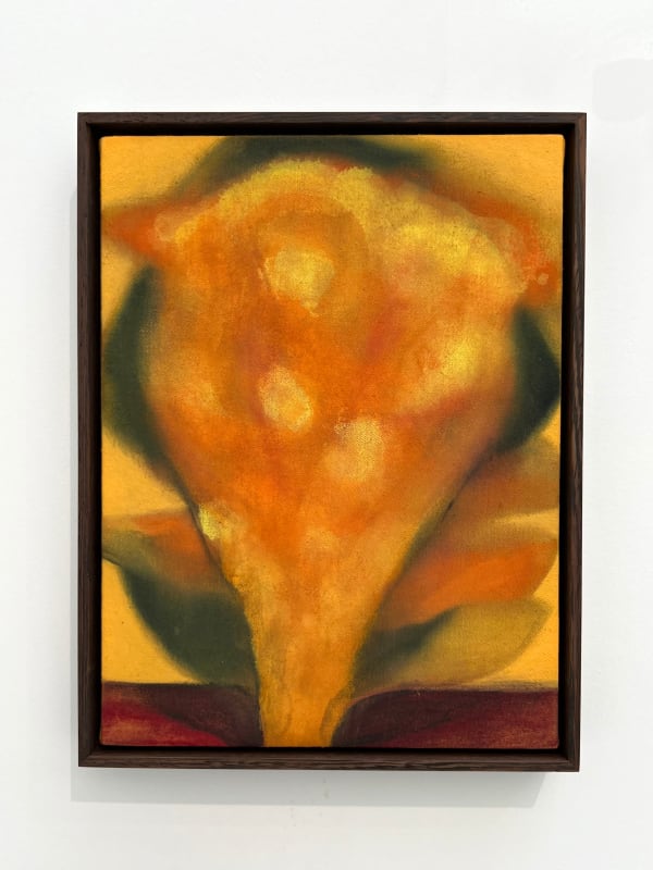 Julien Saudubray, Solitude #13, 2024