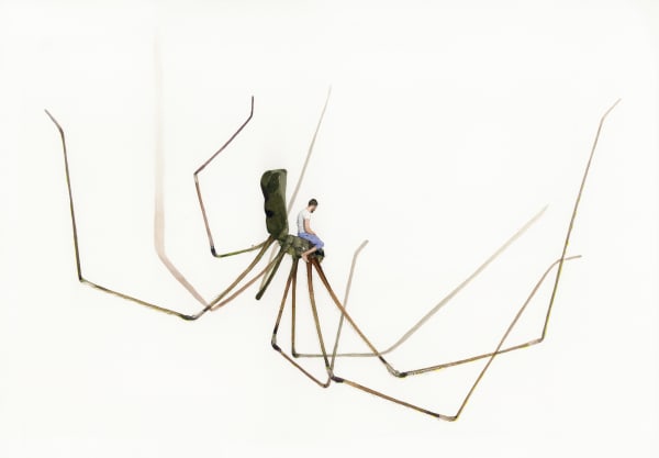 Fabien Mérelle, Louise, 2018