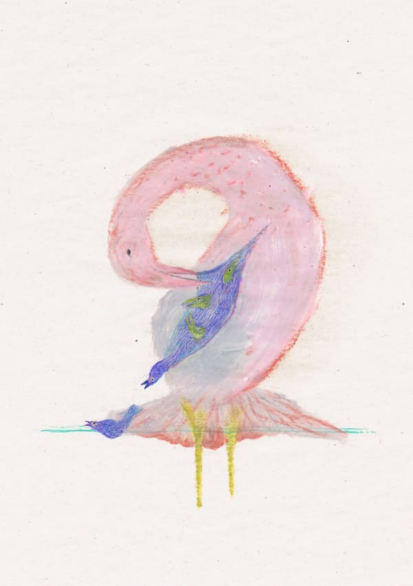 Clara Spilliaert, Untitled, 2021