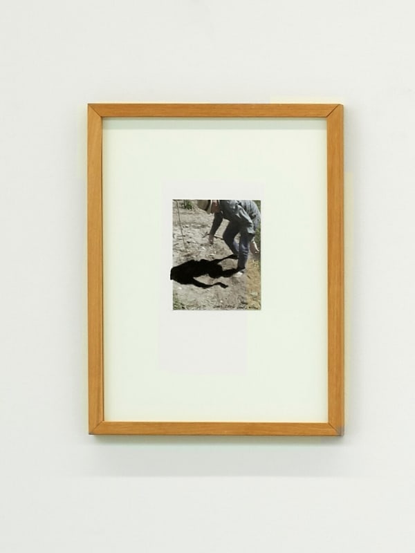 Lois Weinberger, At Night a Shadow Followed Me, 2006