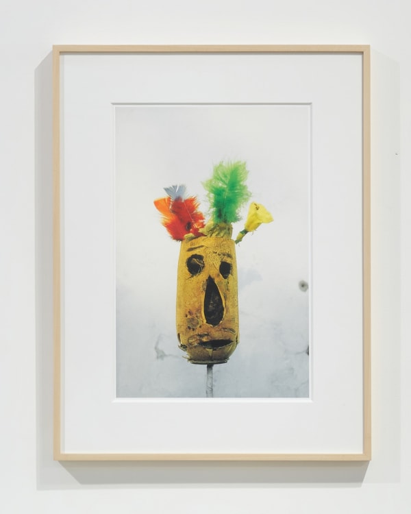 Lois Weinberger, Untitled (Pumpkin), 1978