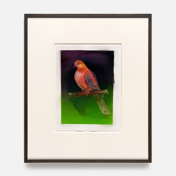 Benjamin Moravec, Untitled, 2023