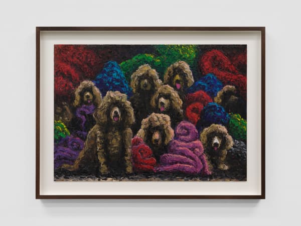 Koen Theys, Face Recognition, 2025