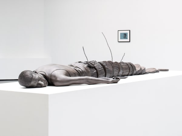 Fabien Mérelle, Tronçonné, 2019