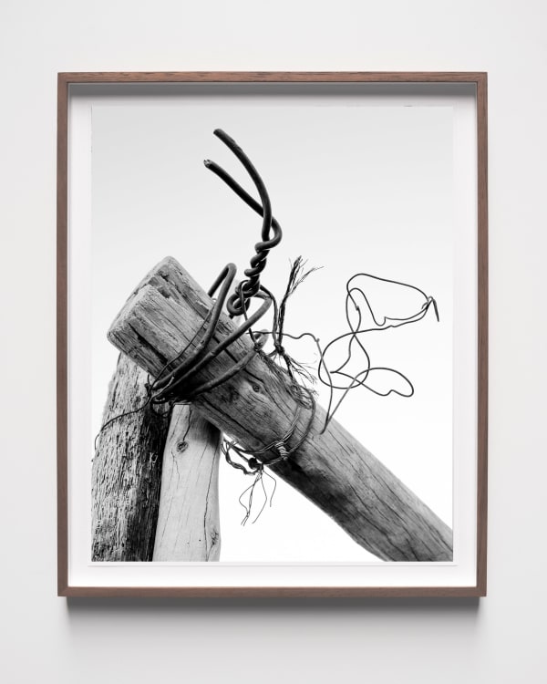 Sybren Vanoverberghe, Steel Wires, 2023