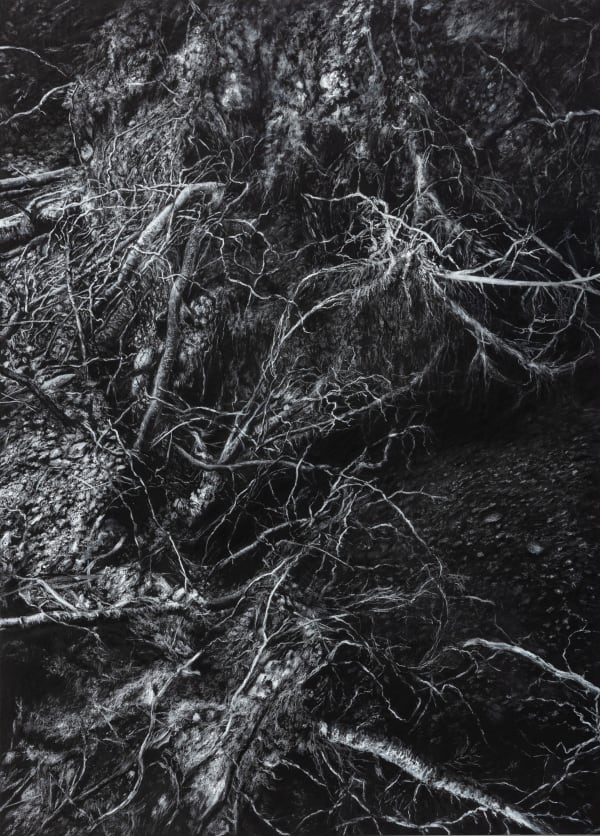 Javier Pérez, El Desamparo IV, 2020