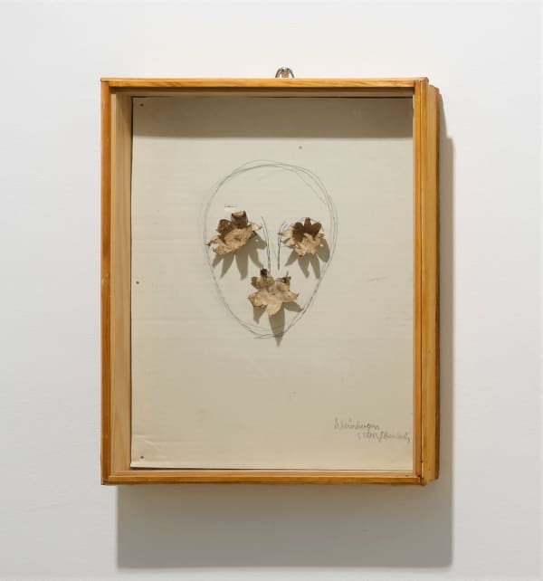 Lois Weinberger, Erdsterne aus "Wirtsruttig", 1975